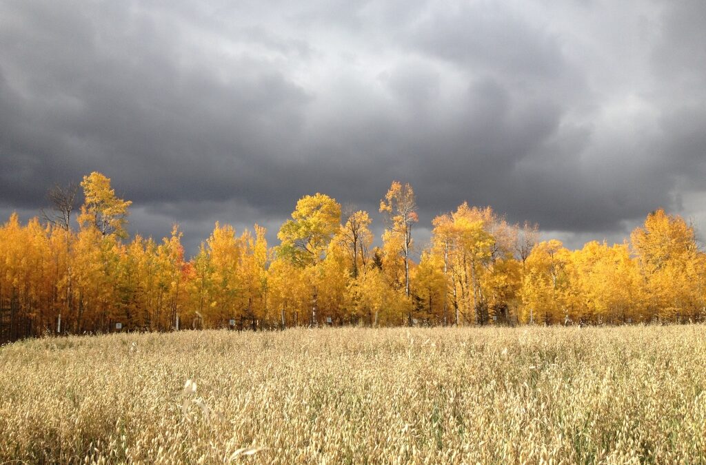 Autumn Storm Clouds