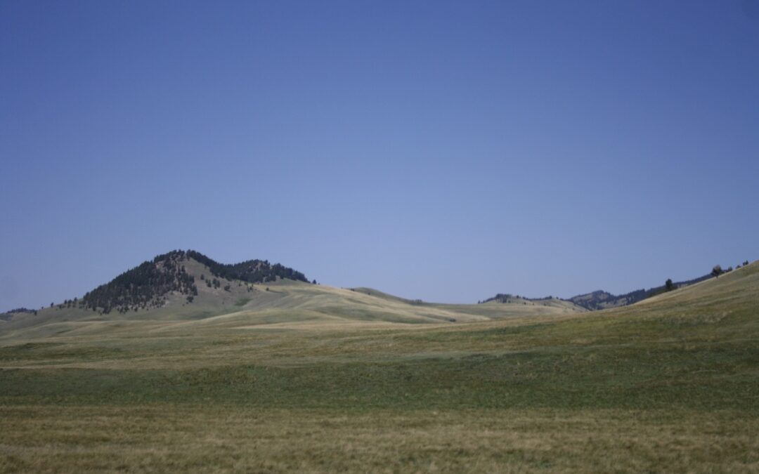 Rolling Fescue Foothills