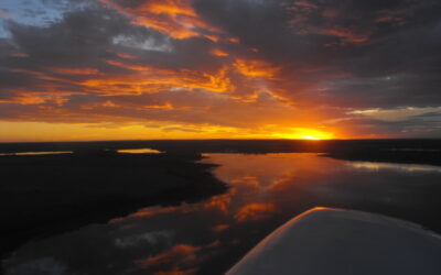 Sunset Reflection Off the Wing